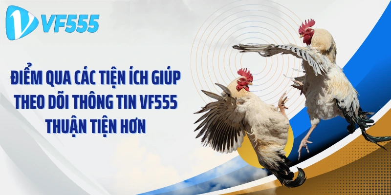 Điểm qua các tiện ích giúp theo dõi thông tin VF555 thuận tiện hơn