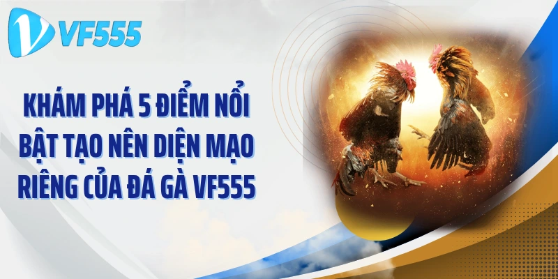 Khám phá 5 điểm nổi bật tạo nên diện mạo riêng của đá gà VF555