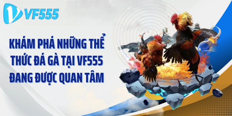 Khám phá những thể thức đá gà tại VF555 đang được quan tâm